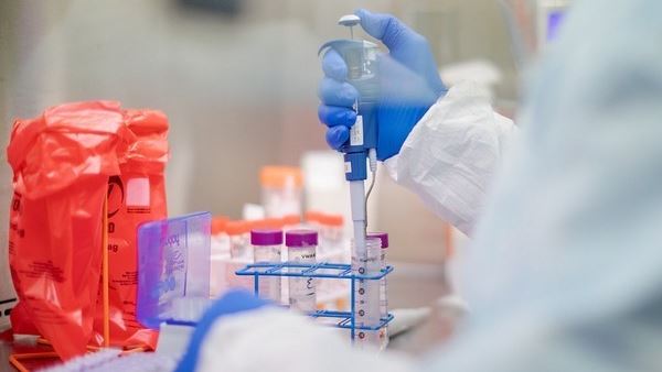 2 indian firms 2 indian firms