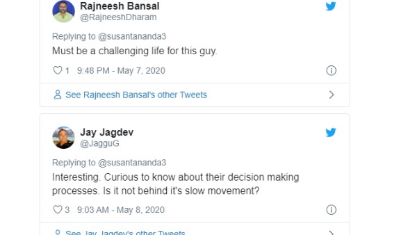 वोल्फ प्रजाति का है ये सांप वोल्फ प्रजाति का है ये सांप