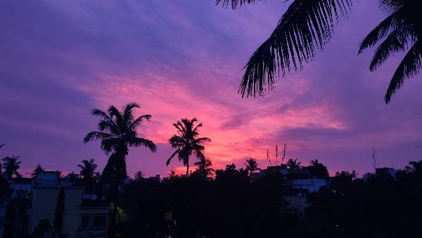 सोशल मीडिया पर शेयर की जा रहीं तस्वीरें