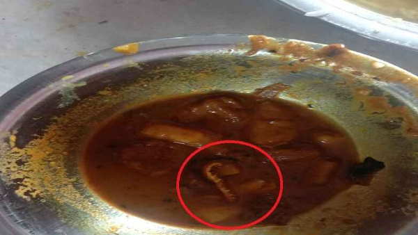 खाने में मिला जहरीला बिच्छू खाने में मिला जहरीला बिच्छू