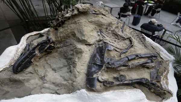 आइल ऑफ वाइट बना 'डायनासोर द्वीप'