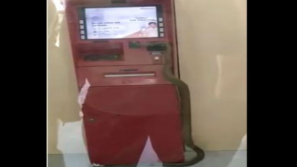 ATM में भीतर घुसा सांप ATM में भीतर घुसा सांप