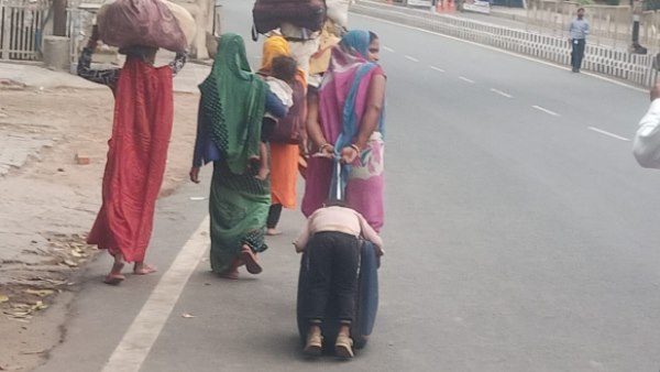 इंदौर में बैलगाड़ी का वीडियो आया था सामने