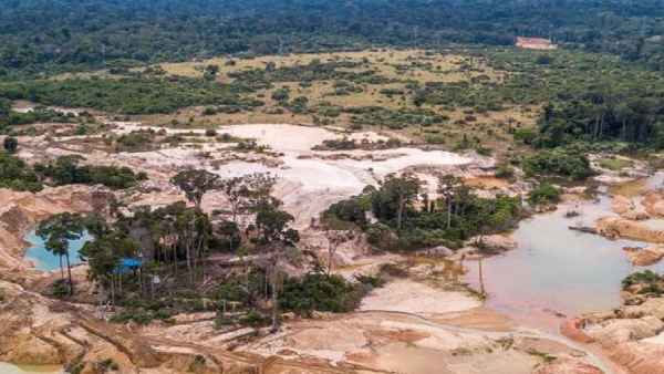 पारिस्थितिक असमानता पैदा होने से मनुष्यों पर मंडरा रहा खतरा 