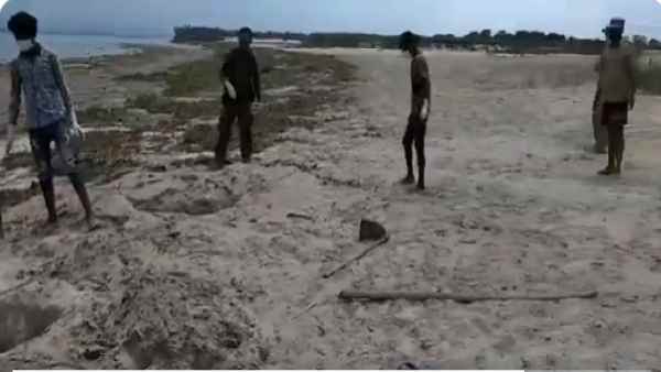 असम में अफ्रीकी स्वाइन फ्लू से 2,500 सुअरों की मौत