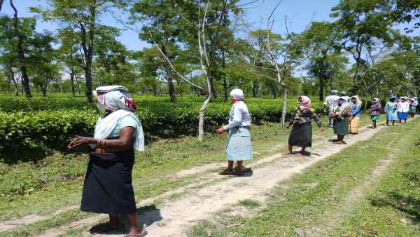 यह वायरस भी चीन से ही पहुंचा