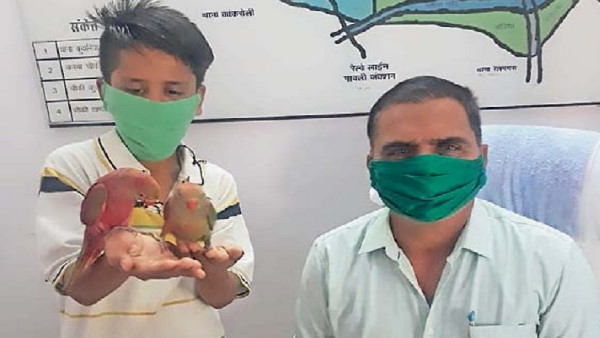 लॉकडाउन में ढील मिलने पर खोजने निकला लॉकडाउन में ढील मिलने पर खोजने निकला