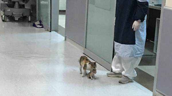 तस्वीरें को 5 हजार से अधिक बार रीट्वीट किया गया तस्वीरें को 5 हजार से अधिक बार रीट्वीट किया गया