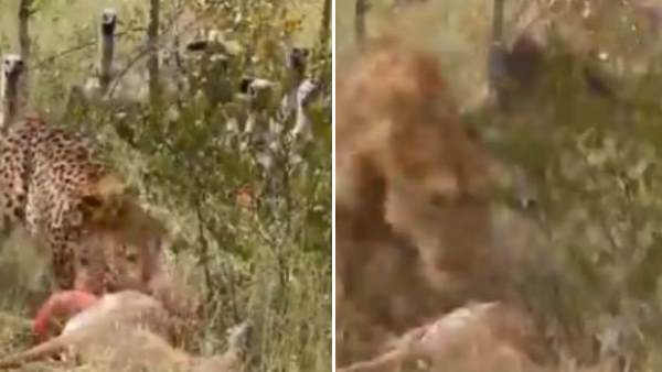 'केवल आपका दृष्टिकोण है जो मायने रखता है' 'केवल आपका दृष्टिकोण है जो मायने रखता है'