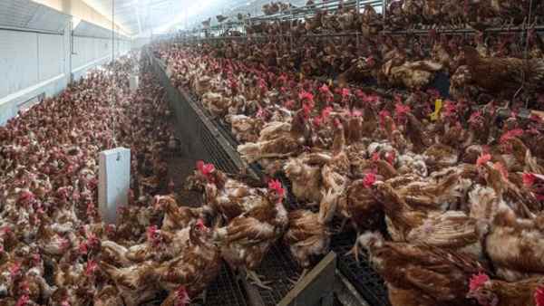 नई किताब में माइकल ग्रेगर ने की भविष्यवाणी