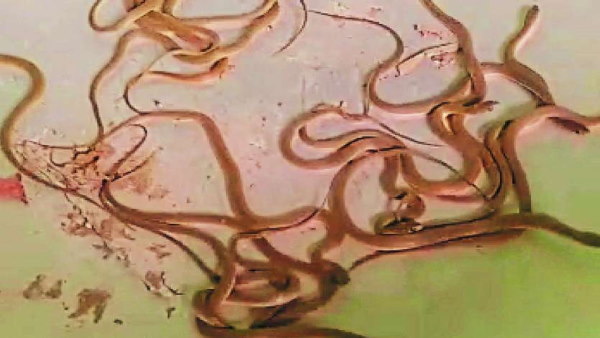  करवाएंगे हर संभव मदद