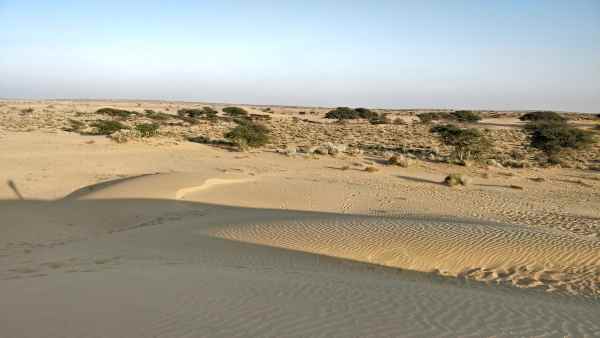 तपती जमीन और 600 किलोमीटर से लंबा सफर तपती जमीन और 600 किलोमीटर से लंबा सफर