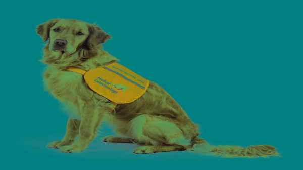 वैज्ञानिक भी करेंगे कोरोना की 'स्मेल' पर काम