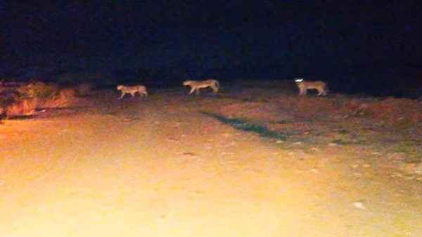 मैं थर्र-थर्र कांप रहा था- मेडिकल टेक्निशीयन