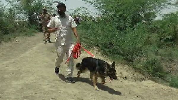 हाथ-पैर और गर्दन कटी हुई पड़ी थी