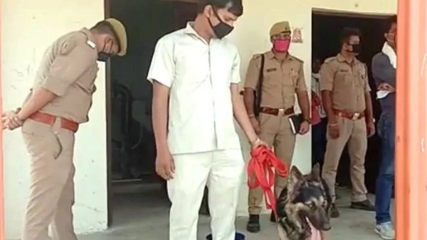 युवक ने क्यों की युवती की हत्या?