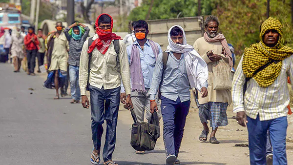 लॉकडाउन के बीच हरियाणा में बही उल्टी गंगा