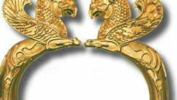 रोग प्रतिरोधक क्षमता बढ़ाने 