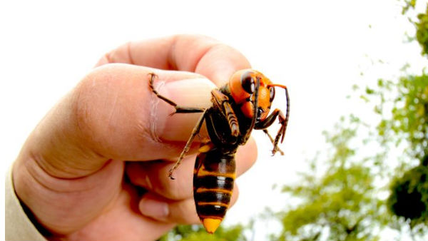 लोग बोले यह कोई दैवीय आपदा 