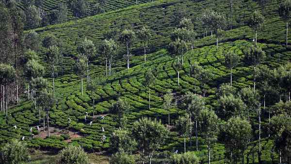 अकूत संपत्ति की मालकिन थीं जयललिता
