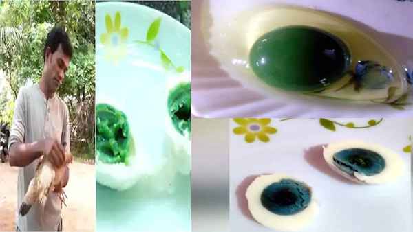 विवि के वैज्ञानिक कर रहे अध्‍ययन 