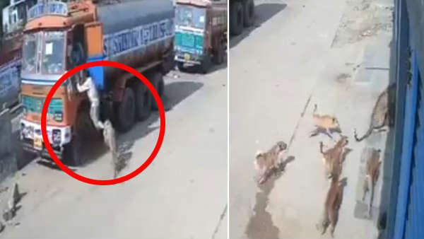 IFS ऑफिसर ने ट्विटर पर शेयर किया VIDEO