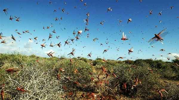 बिट्रेन से आधुनिक मशीनें मंगाने का फैसला किया है।