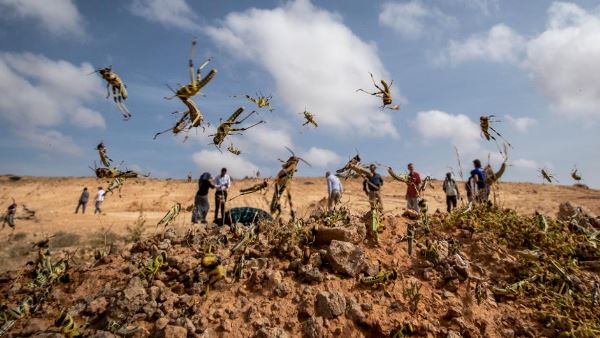 डीएम ने किया आपदा राहत दल का गठन