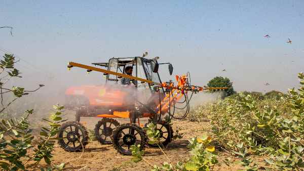 समय से पहले हुआ है हमला