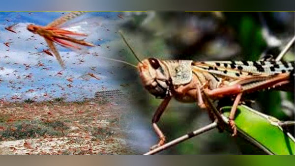 स्थिति पर नजर रखने के लिए सुपरविजन टीमें लगीं स्थिति पर नजर रखने के लिए सुपरविजन टीमें लगीं