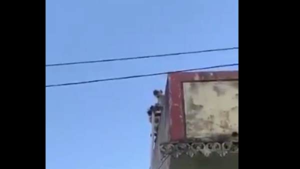 हजारों लोगों ने देखा वीडियो