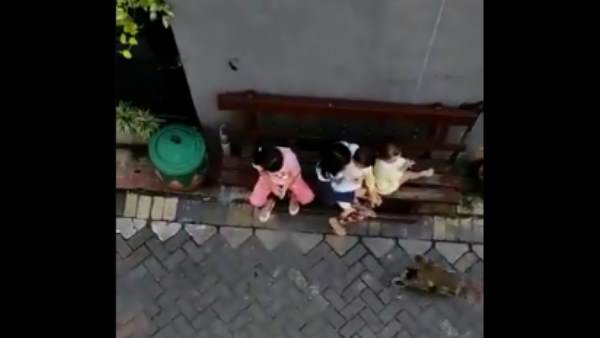 यूजर्स ने वीडियो बनाने वालों की आलोचना की