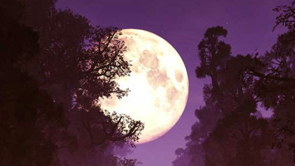 कुछ खास बातें... कुछ खास बातें...