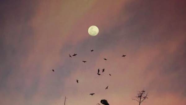 क्या है इसके पीछे की वजह?