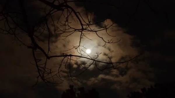 पहले वैज्ञानिकों का क्या कहना था?