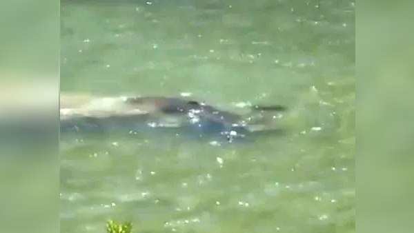 कुछ सेकंड के लिए बाहर निकाला सिर