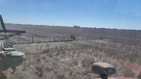 ऑस्ट्रेलिया के अनाज के कटोरे पर चीन का ग्रहण 