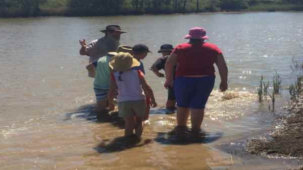 खाद्य सुरक्षा की समस्या की बात झूठ- एमडीबी अथॉरिटी