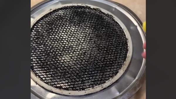 ड्रायर शीट और गर्म पानी का इस्तेमाल किया