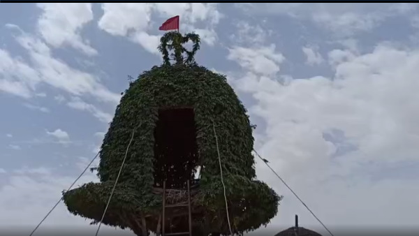 गांव पांचू में है यह ग्रीन ट्री हाउस 