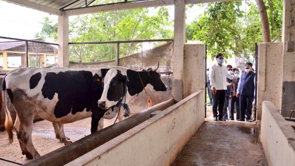 मुख्यमंत्री ने प्रकोप की रोकथाम के उपाय करने को कहा