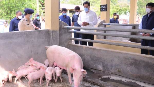 दूसरे विकल्पों पर विचार करेगी सरकार