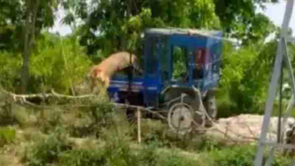 बाइक सवार दो भाइयों पर किया हमला बाइक सवार दो भाइयों पर किया हमला