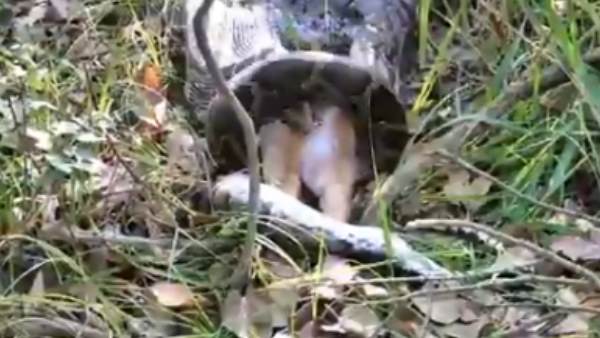 हजारों लोगों ने देखा वीडियो