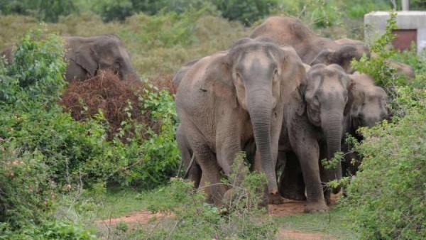 क्या है पूरा मामला क्या है पूरा मामला