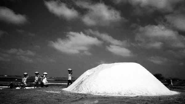 कच्छ से बची है बड़ी उम्मीद