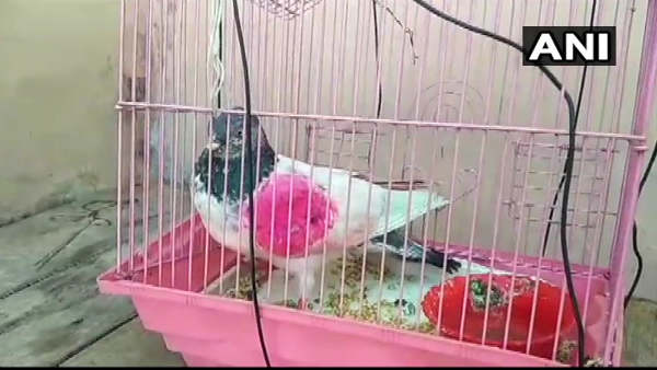 सम्मान के साथ लौटाने की गुजारिश सम्मान के साथ लौटाने की गुजारिश