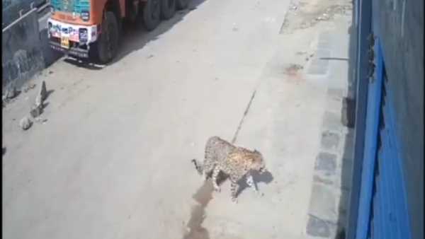 हैदराबाद का है वीडियो