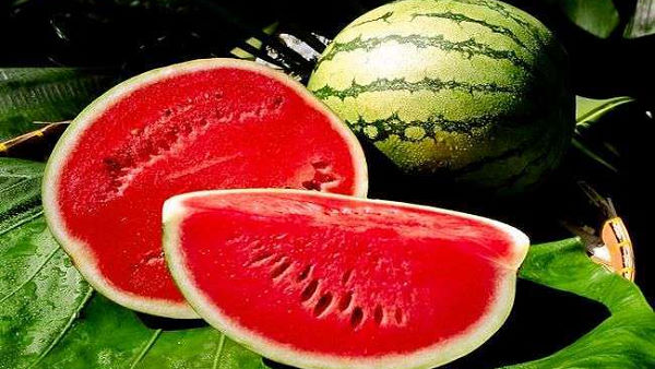 सुपर स्प्रेडर साबित हुआ तरबूज विक्रेता सुपर स्प्रेडर साबित हुआ तरबूज विक्रेता