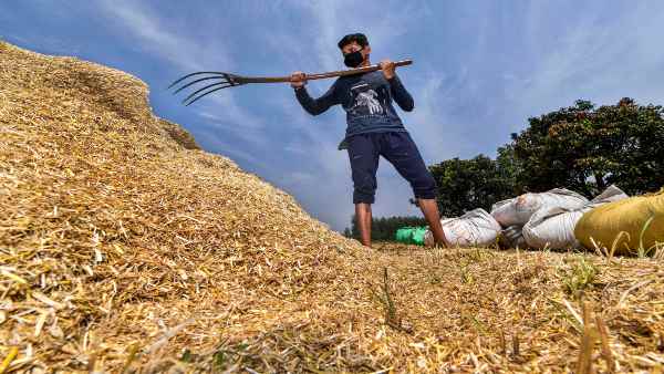 किसानों पर मार, गेहूं नहीं खरीद पा रही सरकार!